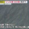 【異様】大阪・道頓堀川の水面を埋め尽くす“ナゾの魚”の大群　潮に乗ってエサを探しにやってきた？のイメージ画像