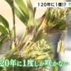 初めてのもののイメージ画像